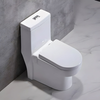 Ceramic Self Cleaning Glaze Rimless Siphonic One-piece Toilet