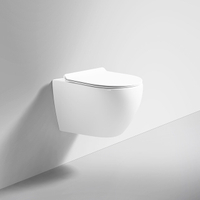 Self Cleaning Glaze Glossy White Wall Drain Wall Hung Toilet