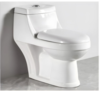 Stain Resistance Dual Flush Wash Down One-piece Toilet